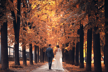 Newlyweds groom and bride walking in autumn park