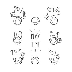 Little cat and little dog