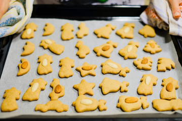 Various shapes of fresh gingerbread on baking tin hold in hands - already baked