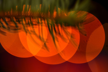 Lights of christmas garland blurred on black background. Lights of colorful garland defocused as beautiful background. Christmas concept. Christmas holiday decoration and fir tree branch