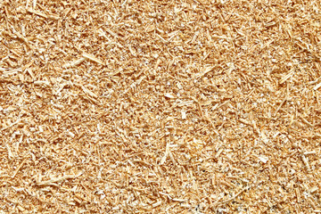 Natural wood sawdust background. Waste wood processing in the workshop. - obrazy, fototapety, plakaty