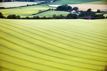 Perferct farming landscape below Firle Beacon, East Sussex, England