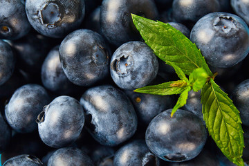 Fresh ripe blueberry close up