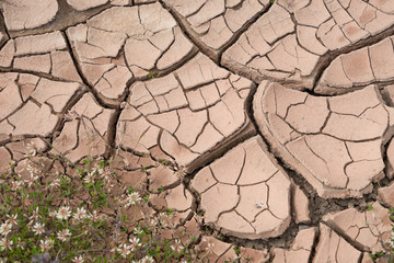 Trockene, rissige rote Erde - Hintergrund