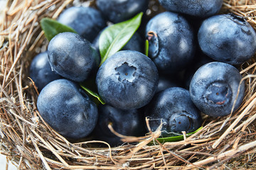 Fresh ripe blueberry close up