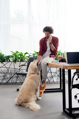 smiling young man talking by smartphone and looking at dog in office