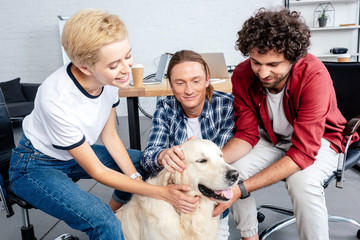 happy young business colleagues stroking dog in office