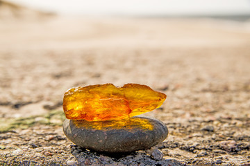 Amber in sun on a beach of the Baltic sea