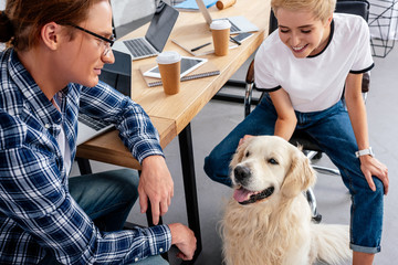 smiling young colleagues looking at dog in office