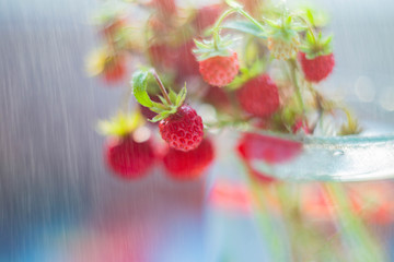 strawberry with bokeh