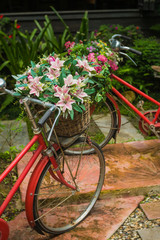 Fototapeta na wymiar Beautiful colorful flowers on red bicycle concept in the garden background