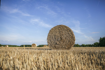 Harvested field with straw bales against bule sky in summer