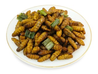 Dish of Deep Fried Coconut Worms on White Background