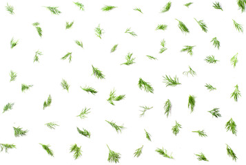 Fototapeta na wymiar Pattern on a white background with dill. Top view
