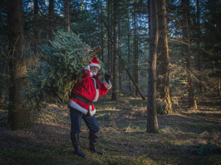 Modern Santa Claus in the pine forest with a large christmas tree.