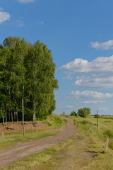 dirt road on a hill among trees and meadows on a summer day