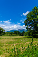 Obraz premium 浅間山を望む