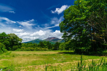 Fototapeta premium 浅間山を望む