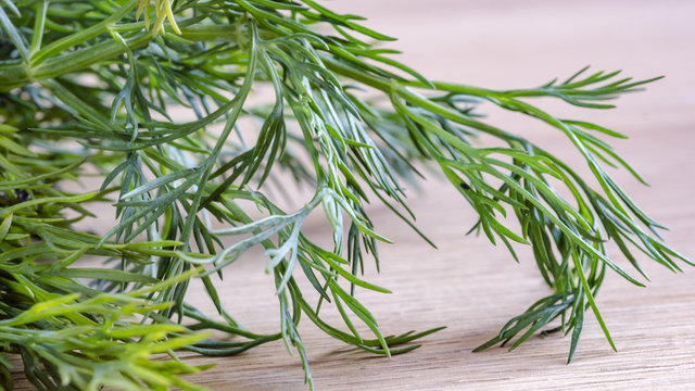 Bunch fresh green dill. Food background. Close up