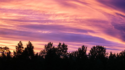 Beautiful, colorful and dramatic sky at sunset. Silhouette of forest.