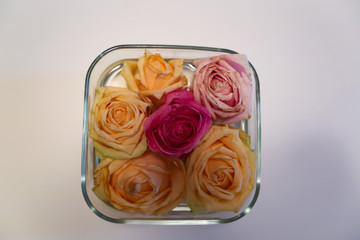 Six colorful roses are lying in a bucket of glass. Four roses are yellow, the top right rose is light pink and the middle rose is in a strong pink.