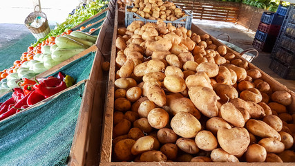 vegetable fruit kiosk summer in greece