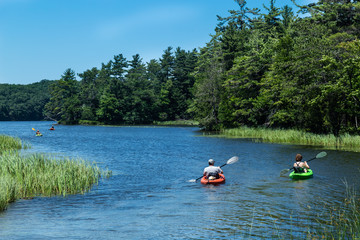 Fototapeta na wymiar People Kayaking Down a River with Trees 