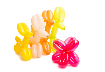dog toy from a balloon isolated