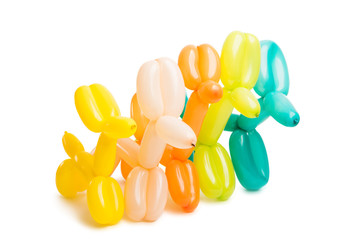 dog toy from a balloon isolated