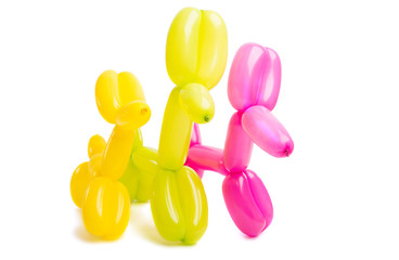 dog toy from a balloon isolated