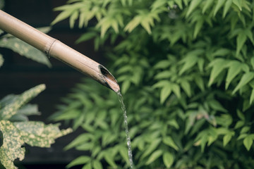 Bamboo water fountain in nature background