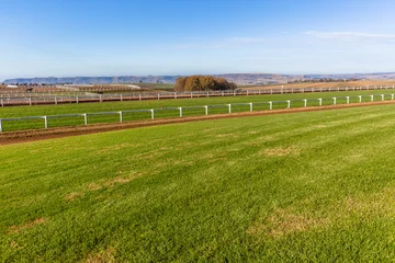 Photo sur Plexiglas Léquitation Race Horse Training Sand Grass Tracks Scenic Landscape