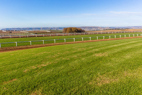 Race Horse Training Sand Grass Tracks Scenic Landscape