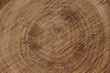Hintergrund Holz 3