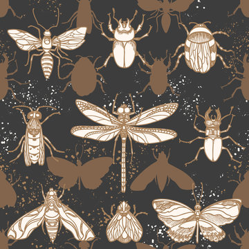 Vector seamless pattern. Shape insect in the night.