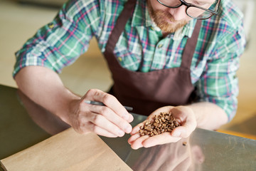 Crop shot portrait of modern barista holding handful of fresh coffee beans and checking quality of...