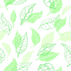 Vector nature seamless pattern of tea leaves