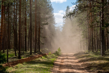 Dusty road through forest