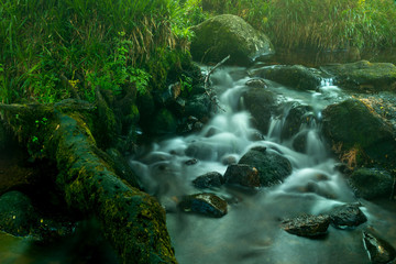 Dartmoor, Devon England