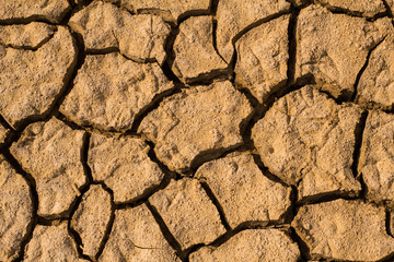dry cracked earth in desert, yellow earth after drought