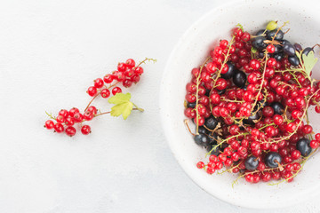 Close up top view of white cup with red and black currant berry and small bunch of red currant with green leaf of currant bush in left of cup on white concrete background. Summer concept copyspace