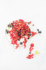 Close up top view flat lay of white cup with red and black currant berry and small bunch of red currant with green leaf of currant on white concrete background. Minimal summer concept with copy space.