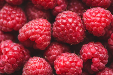 Fresh and sweet raspberries. Summer background concept