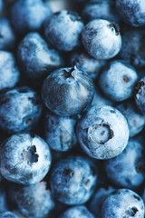 Freshly picked organic blueberries.