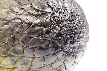 Dragon egg.