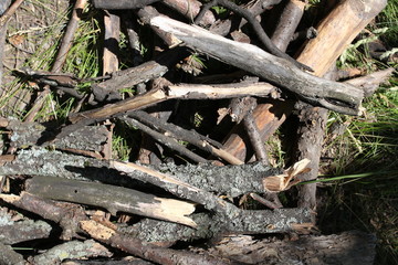 Firewood to maintain the fire