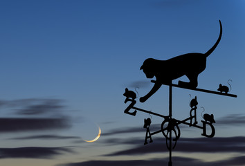 Weather vane is a home instrument showing direction of wind - typically used as an architectural...