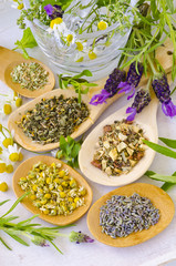 Alternative Medicine. Herbal Therapy.