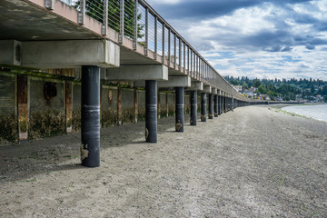 Boardwalk At Low Tide 5
