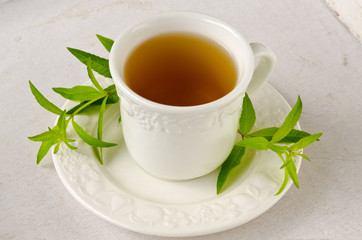 Alternative Medicine. Lemon verbena herbal tea.